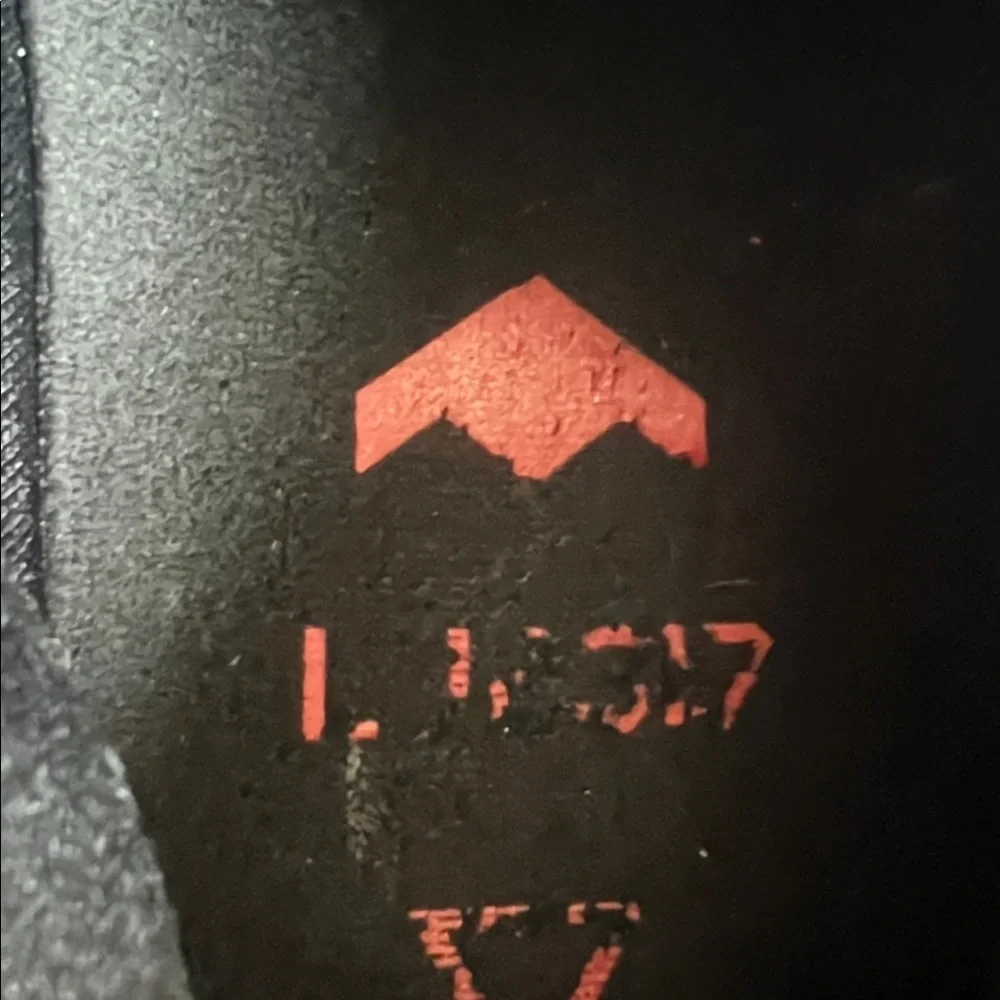 NIKE LE BRON 17 LOW BRED SHOES